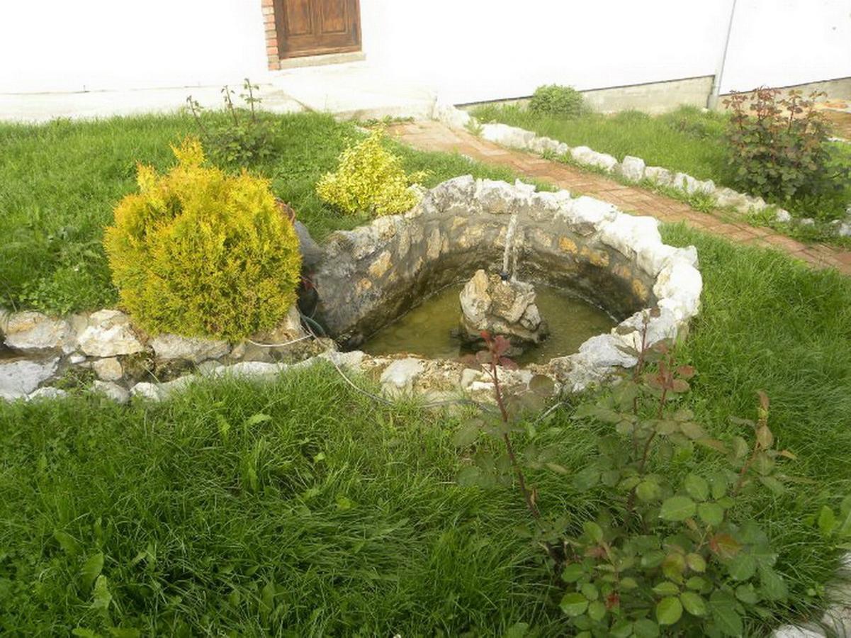 לינה וארוחת בוקר דספוטובאץ Panorama Lomnica מראה חיצוני תמונה