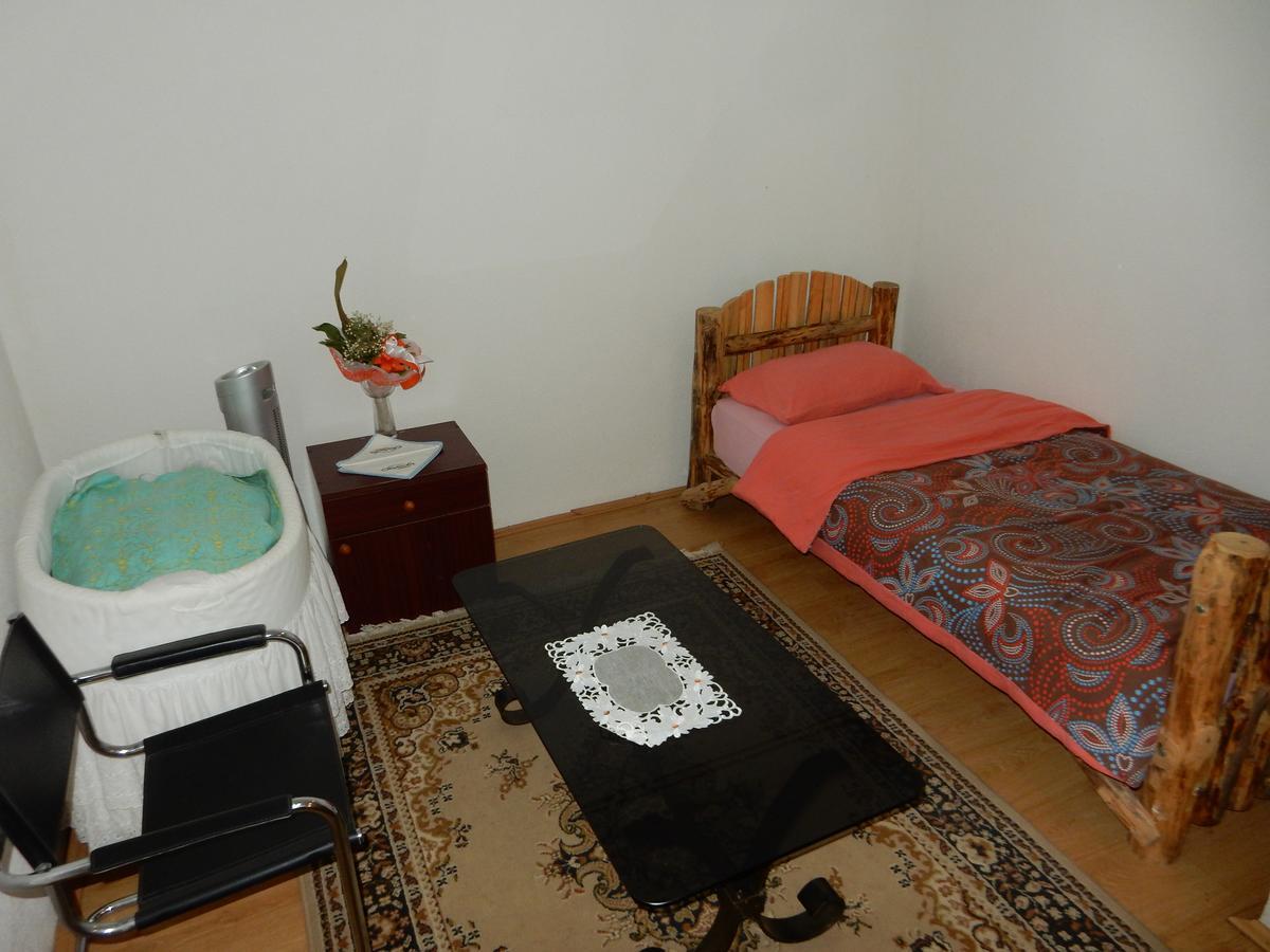 לינה וארוחת בוקר דספוטובאץ Panorama Lomnica מראה חיצוני תמונה